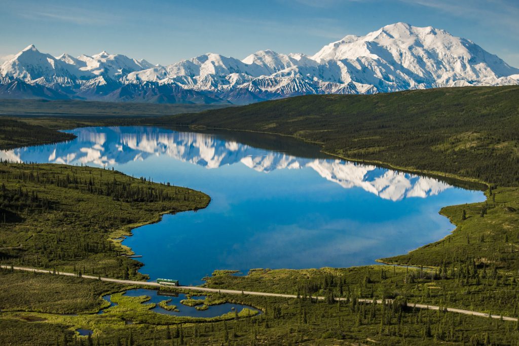 Is Denali National Park Worth It? An Alaskan Perspective