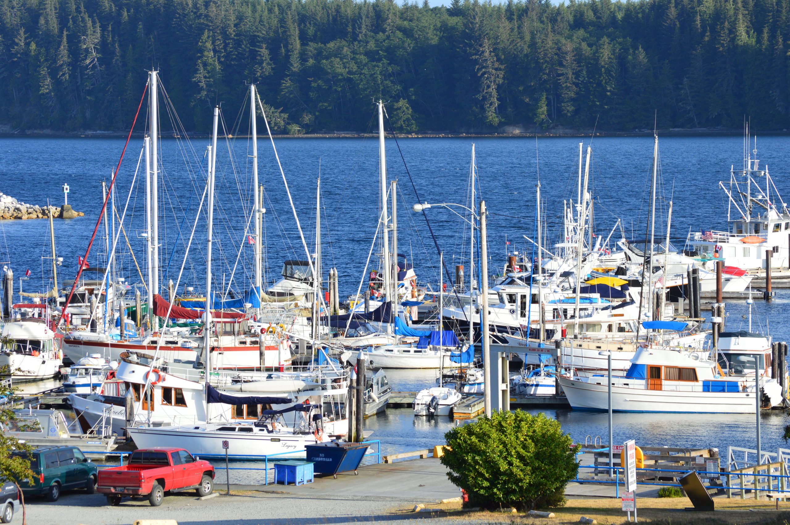 port mcneill boat tours