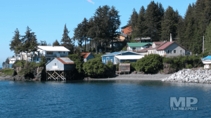 Houses on coast seldovia