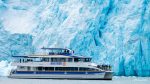 Major Marine Tours-Seward Major Marine Tours-Seward