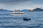 Major Marine Tours-Seward