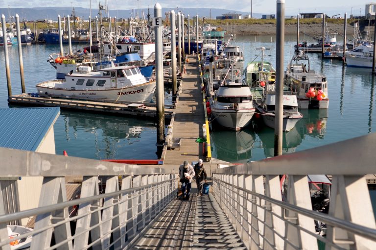 Homer Harbor