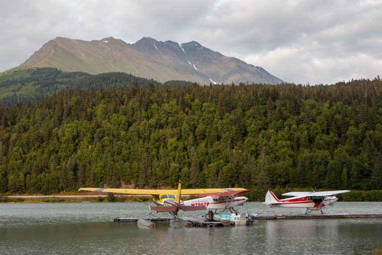 Floatplanes docked on a lake with mountain in background