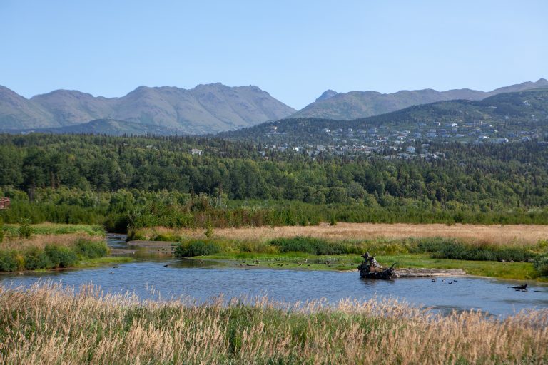 Photo of the Day: Potter Marsh Potter marsh with mountains behind