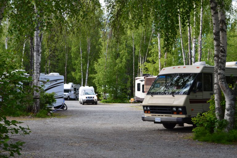 Campers in forested campground.