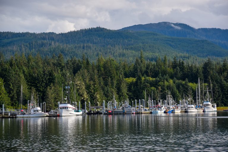 Photo of the Day: Coffman Cove Harbor