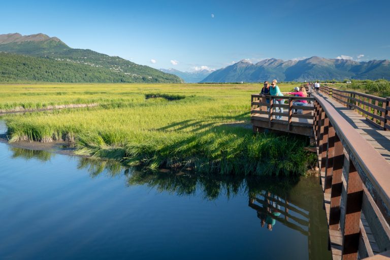 Photo of the Day: Potter Marsh