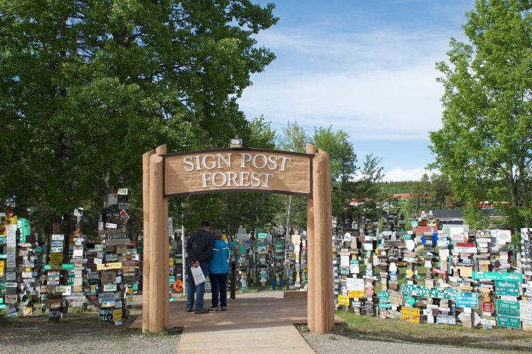 Photo of the Day: Sign Post Forest