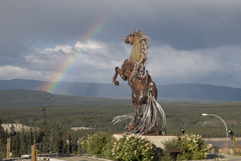 Photo of the Day: Whitehorse Horse