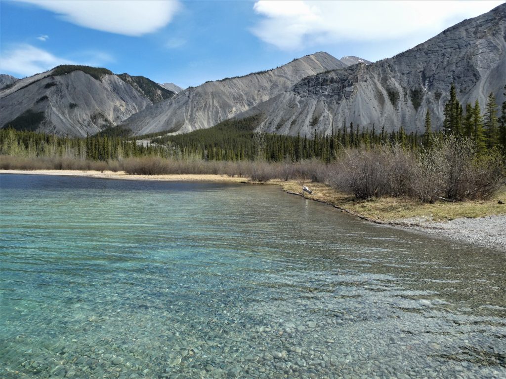 Clear waters of muncho lake on a sunny summer day. Trees along shoreline and bare mountains