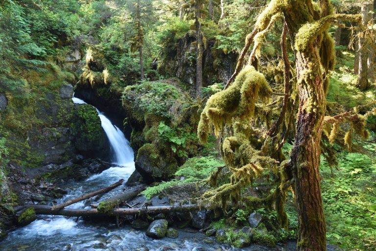 Try These Waterfall Hikes in Southcentral Alaska Small waterfall and pool in a lush rainforest